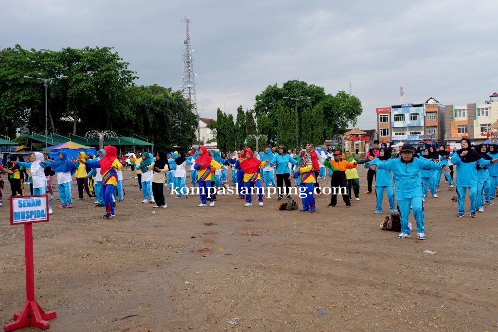 Car Free Day Pertama Di Awal Tahun 2020 Dan Sosialisasi Dari Dinas Kesehatan Kota Metro