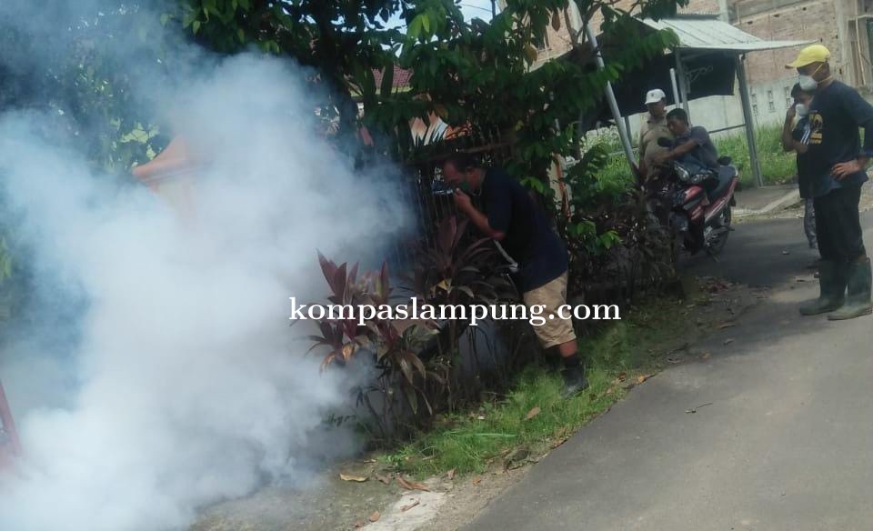 Fogging Di Lingkungan Guna Berantas Nyamuk Aedes Aegypti