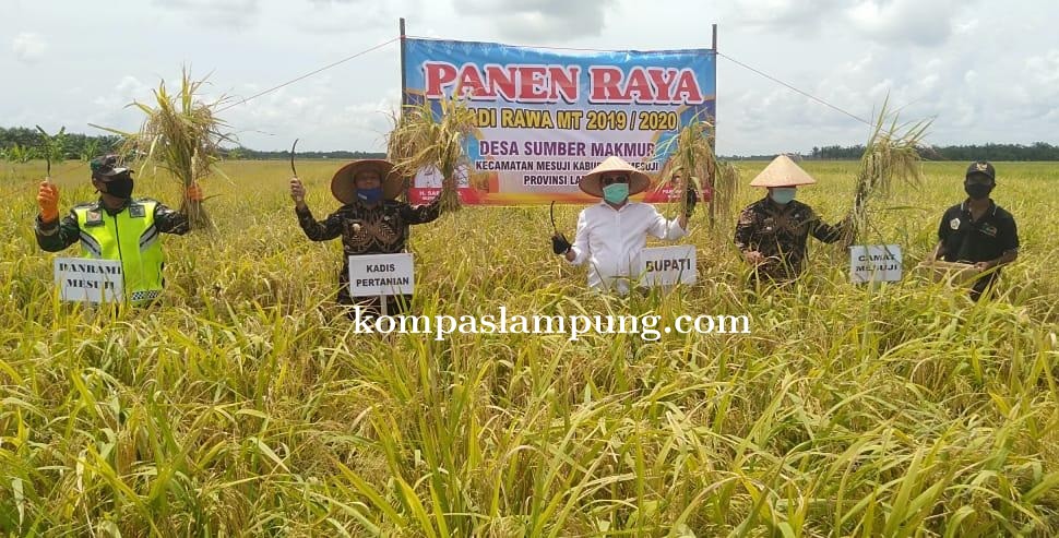Bupati Mesuji Akan Berupaya Mengakomodir Kebutuhan Masyarakat Petani Tingkatkan Produksi Padi 