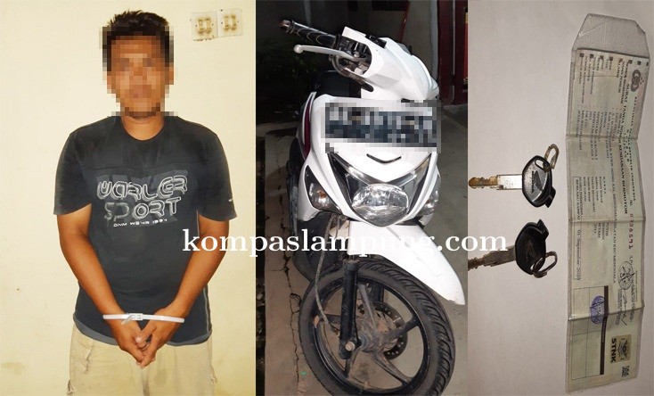 Jadi Pelaku Curanmor Di Kampung Sendiri Warga Menggala Ditangkap Polisi