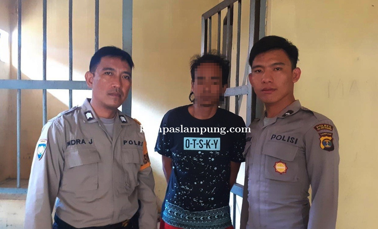 Bawa Narkotika, Warga Penumangan Baru Ditangkap Polsek Menggala