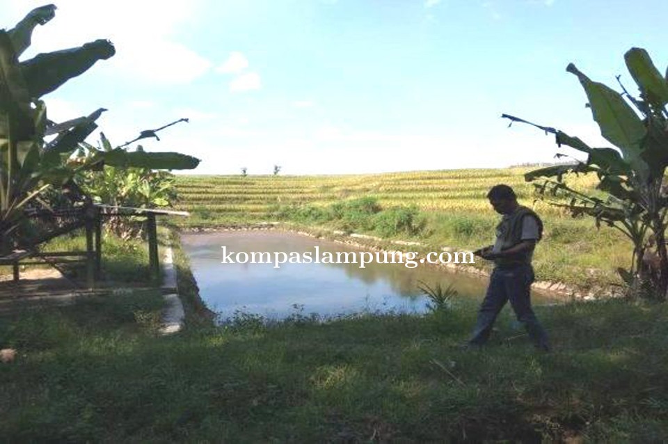 Diduga Proyek Embung di Kota Metro Jadi Alih Pungsi 