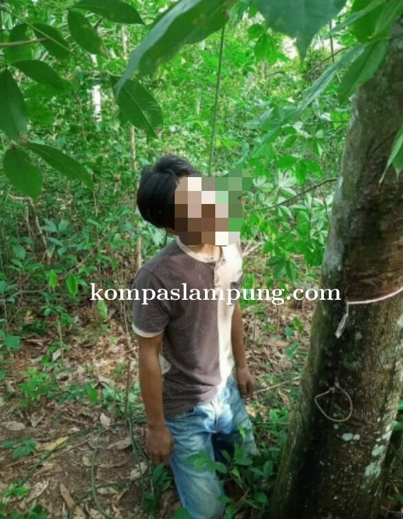 Warga Tiyuh Mekar Jaya Tubaba Geger Ditemukannya Warga Gantung Diri Di Pohon Karet