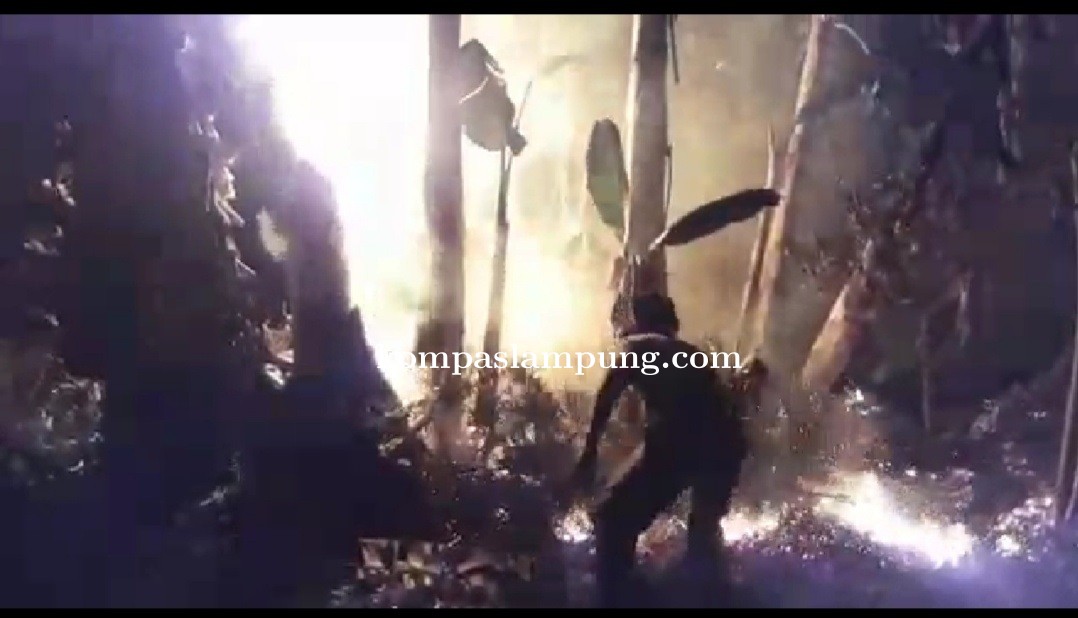 Lahan Rumah Sakit Umum Daerah Tulang Bawang Barat Ludes Dilalap si Jago Merah