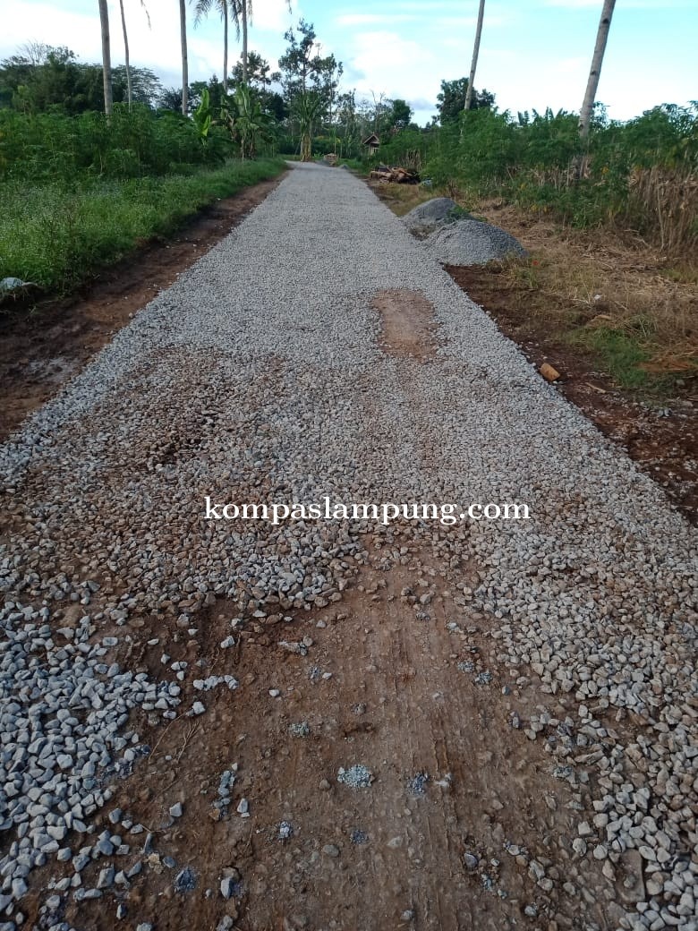 Pembangunan Jalan Desa Sukacari Lam-Tim Jadi Pertanyaan Warga Masyarakat Setempat