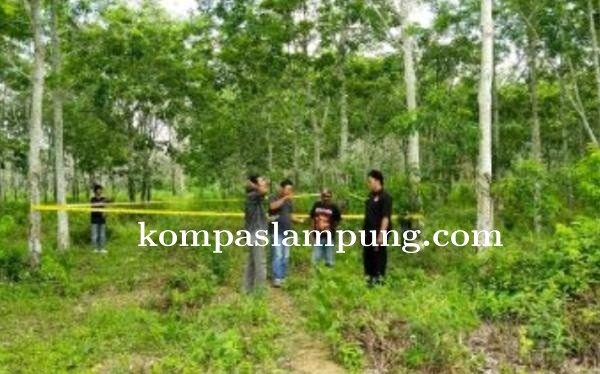 Perampokan Warga Mukti Karya Kec Panca Jaya Kab Mesuji Oleh Dua Orang Tak Di Kenal