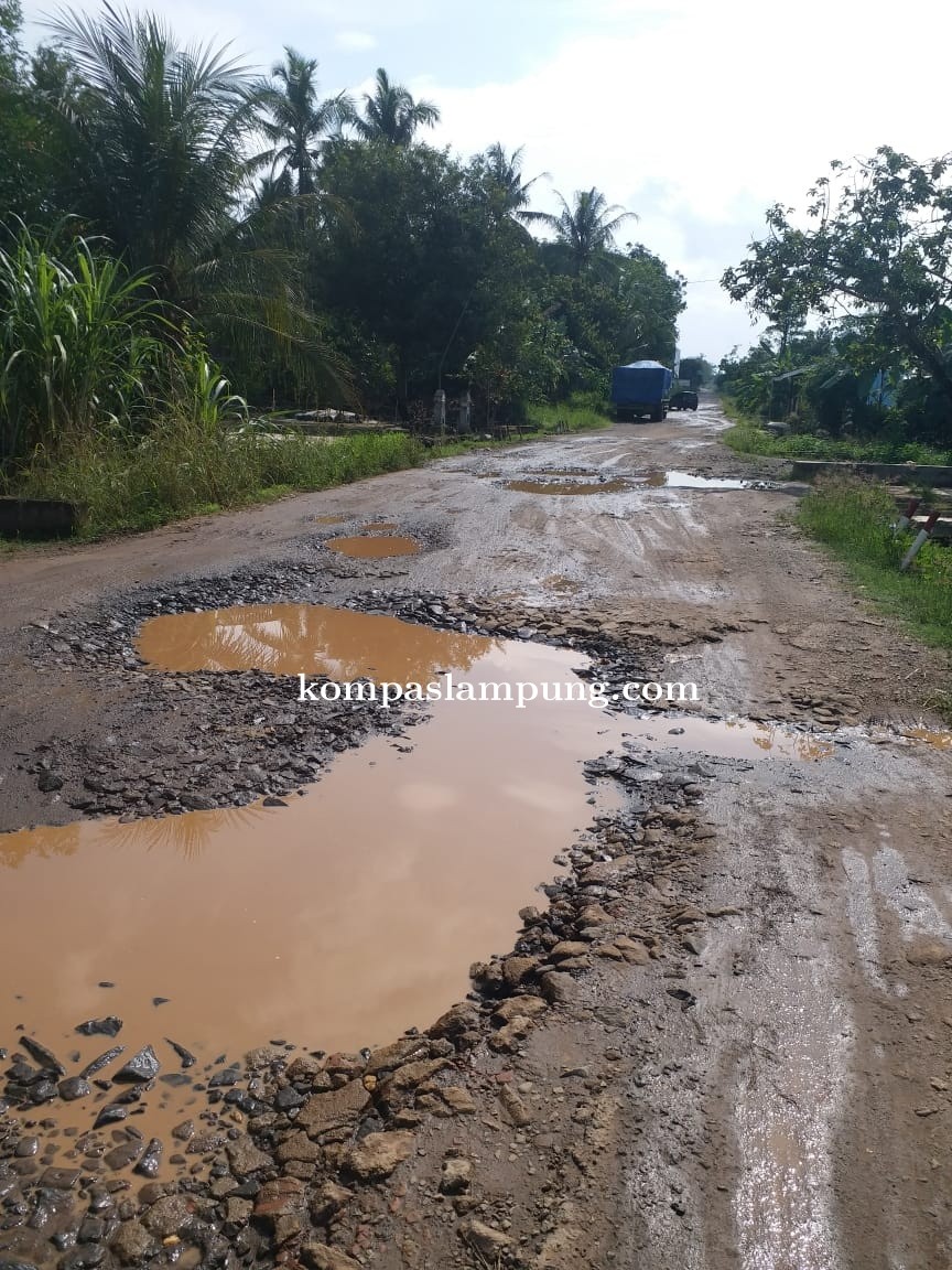 Jalan Milik Provinsi Dan Kabupaten Lamtim, Luput dari Perhatian Pemerintah 